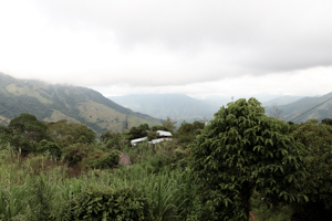 Fotografía de las verdes montañas que hacen parte de El Aro, corregimiento de Ituango.